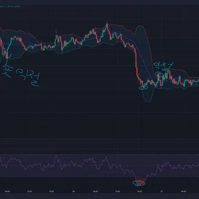 [30일 챌린지 6기 4주차] 차설님 볼밴강의영상을 보고 매매해보기.