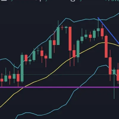 [30일 챌린지 8기 1주차]