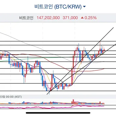 [30일 챌린지 6기 4주차]
