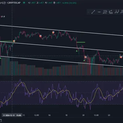 30일 챌린지 7기 2주차