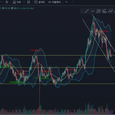 [30일 챌린지 8기 1주차] 지지 저항 및 추세 파악