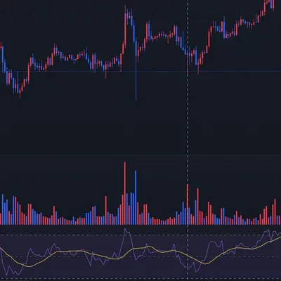 [30일 챌린지 7주기 2주차]