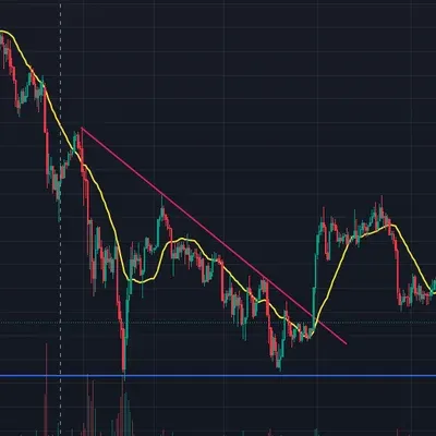 [30일 챌린지 8기 1주차]