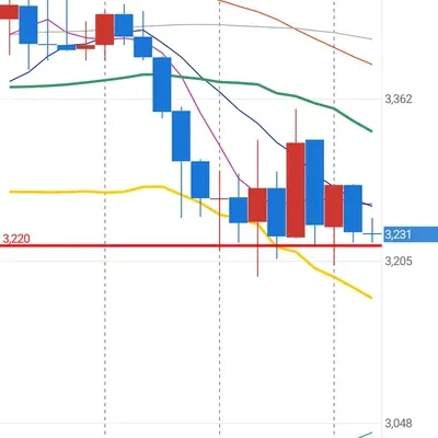 3일챌린지 6기 4주차