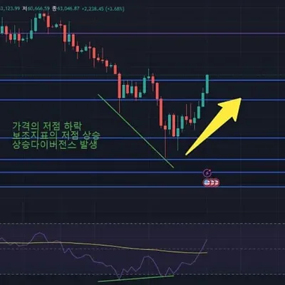 [30일 챌린지 7기 2주차]
