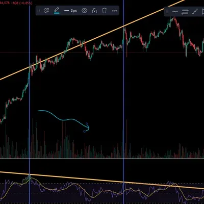 [30일 챌린지 7기 2주차]