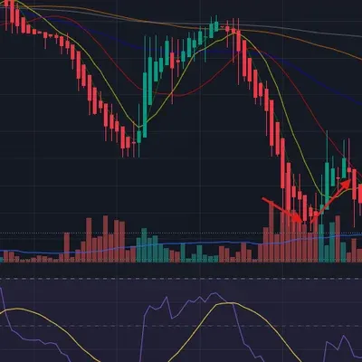 [30일 챌린지 7기 2주차] 