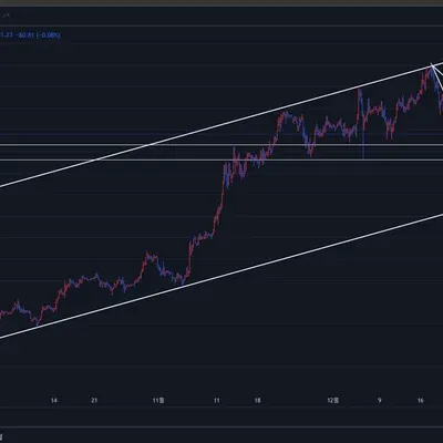 [30일 챌린지 8기 1주차] 추세선,지지, 저항 