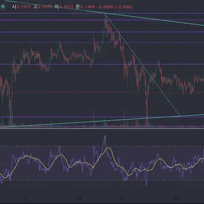 [30일 챌린지 7기 2주차]