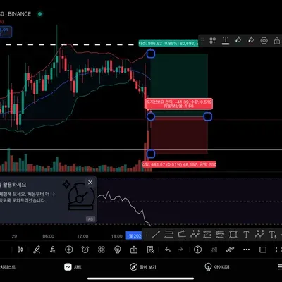 [30일 챌린지] 29일차 2024.12.30. 비트코인 매매일지
