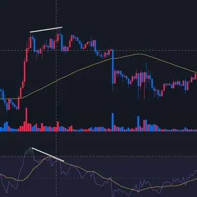 [30일 챌린지 8기 2주차] RSI와 다이버전스 확인하기