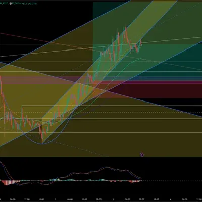 허허.... 까먹고있었던 투딩...