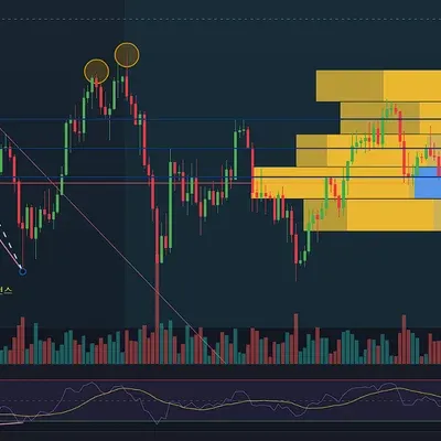 [30일 챌린지 8기 2주차]