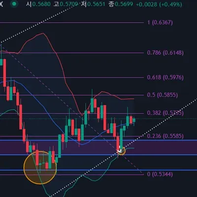 30일 챌린지 7기 3주차