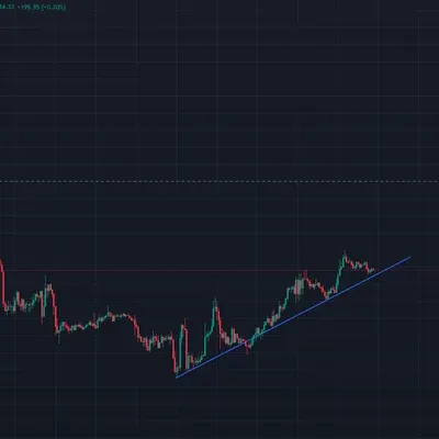 [30일 챌린지 9기 1주차]