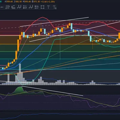 [30일 챌린지 7기 3주차]