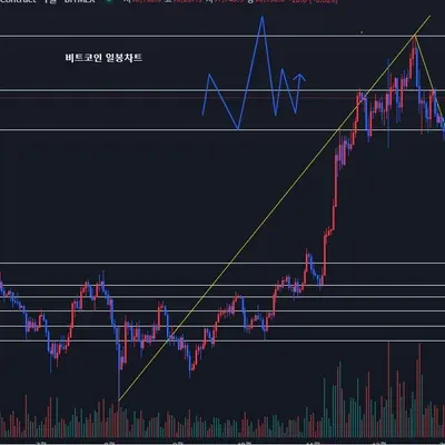 [30일 챌린지 7기 3주차]