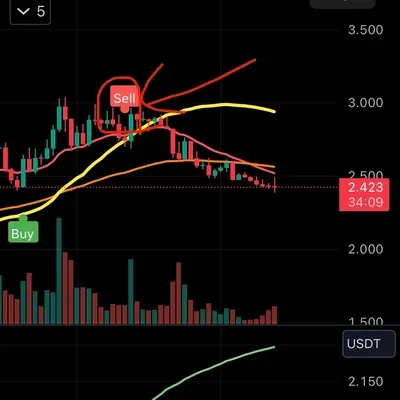 [30일 챌린지 7기 3주차] 실전 경험