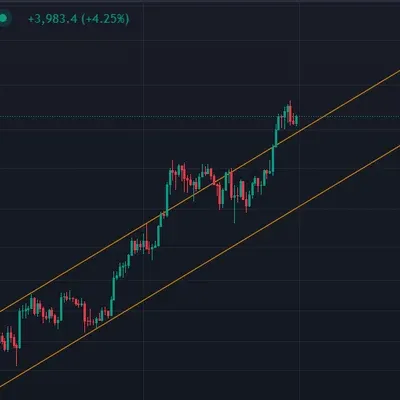 [30일 챌린지 7기 3주차]