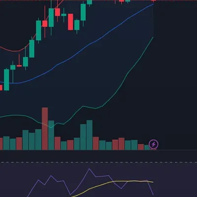 비트코인 매매일지