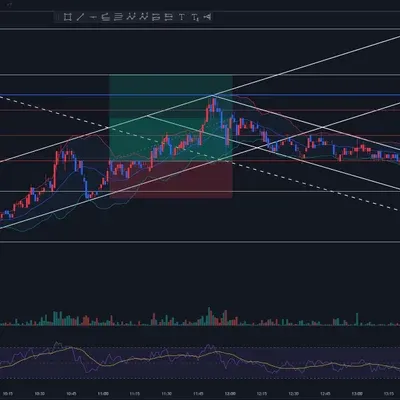 30일 챌린지 7기 3주차