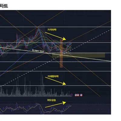 [30일 챌린지 7기 3주차] 