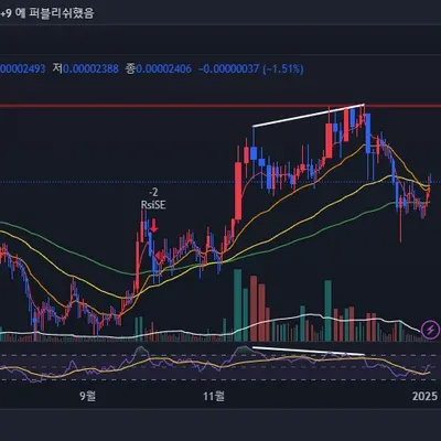 [30일챌린지 8기 2주차] 상대 강도지수와 다이버전스 확인하기