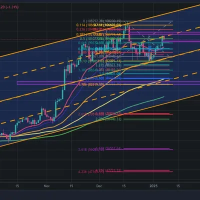 [30일 챌린지 7기 4주차]