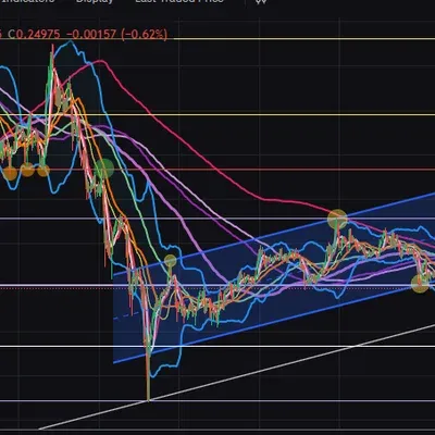 [30일 챌린지 7기 4주차]