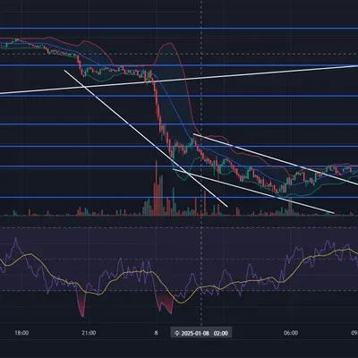  [30일 챌린지 7기 4주차]