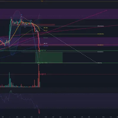 [30일 챌린지 7기 4주차] 쫄보 인증