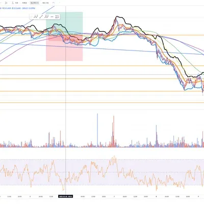 [30일 챌린지 7기 4주차] 지옥 시작