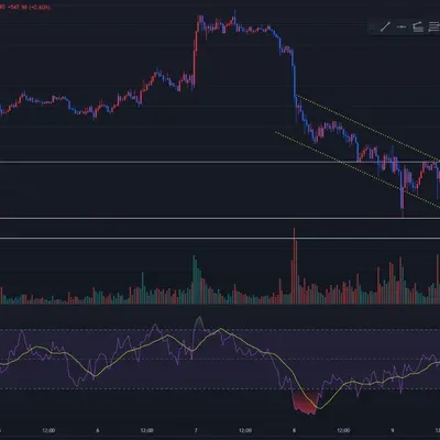 [30일 챌린지 7기 4주차]