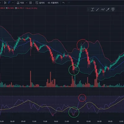 [30일 챌린지 7기 4주차]