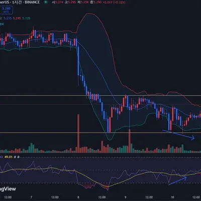 [30일 챌린지 7기 4주차]