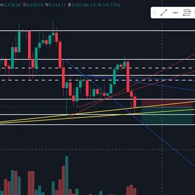 [30일 챌린지 7기 4주차]