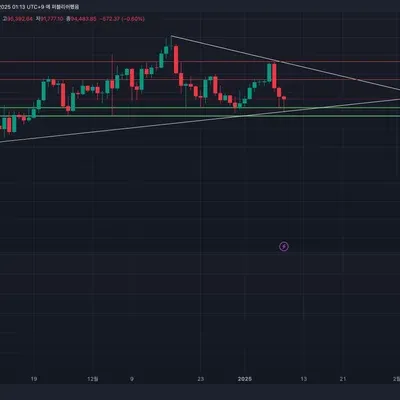 [30일 챌린지 10기 1주차] 비트코인 일봉 차트 작도 연습