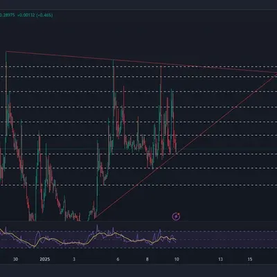 [30일 챌린지 7기 4주차]