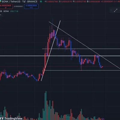 [30일 챌린지 10기 1주차] 4일차 미션 - 작도