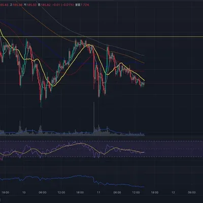 [30일 챌린지 9기 2주차]