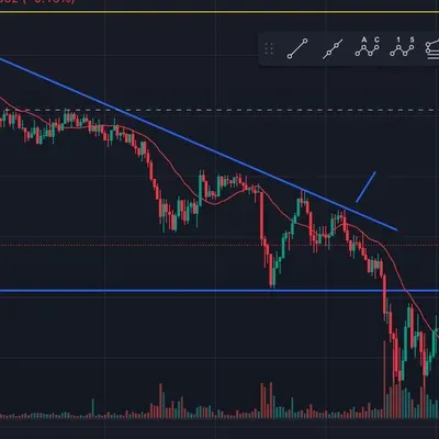 [30일 챌린지 7기4주차] 매매일지 작성