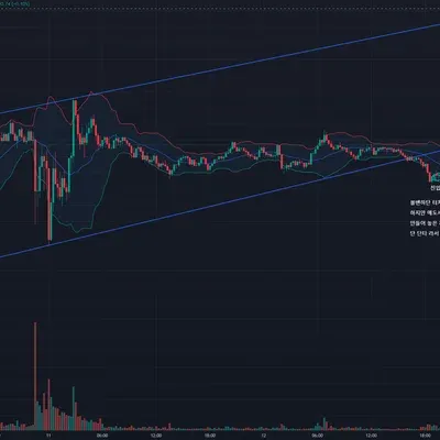 [30일 챌린지 8기 3주차]