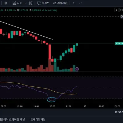[30일 챌린지 9기 2주차]