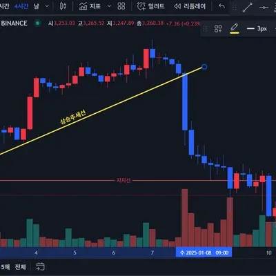 [30일 챌린지 10기 1주차]