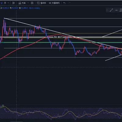 [30일 챌린지 9기 2주차]
