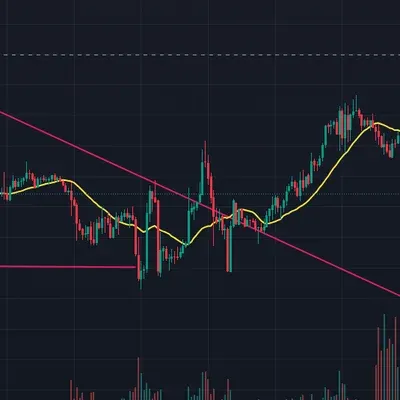 [30일 챌린지 8기 3주차]