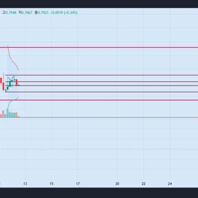 [30일 챌린지 8기 3주차]실전 경험 쌓기