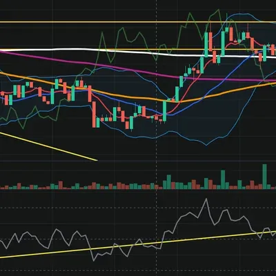 [30일 챌린지 8기 3주차] 미션