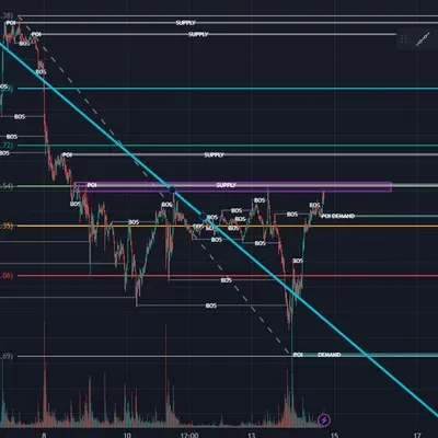 투딩 11기 첫 매매