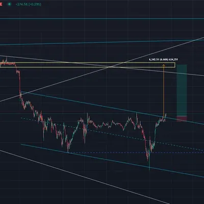 신규 비트코인 진입 근거